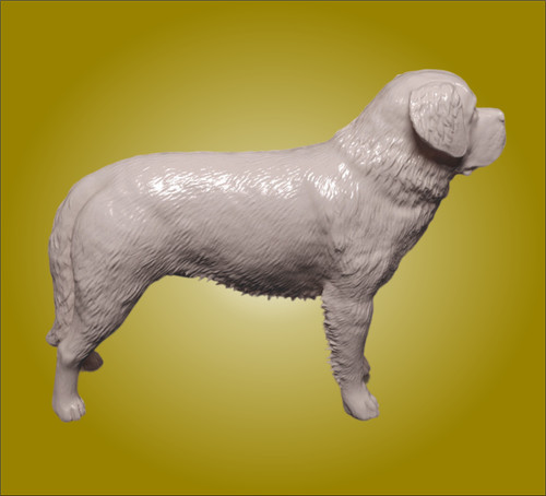 Saint bernard dog scale - dog,