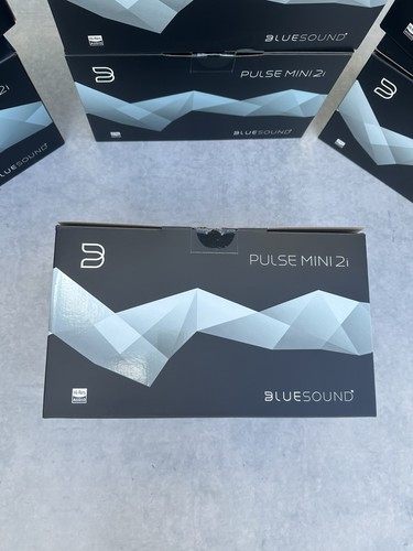 Enceinte bluesound pulse - enceinte,