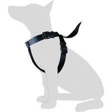 Harnais Voiture Taille M