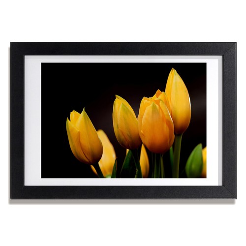 Tulup photo 30x20cm cadre - 30x20cm,