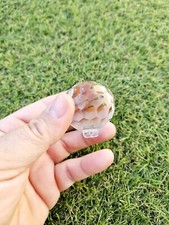 Boule A Facette De Lustre A