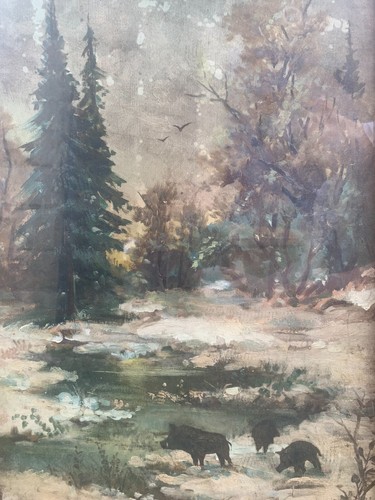 Sangliers dans paysage de - dans,