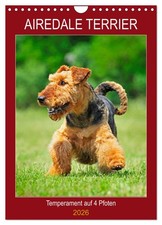 Airedale Terrier - un tempérament à 4 pattes (Calendrier mural 2026 DIN A4 verti