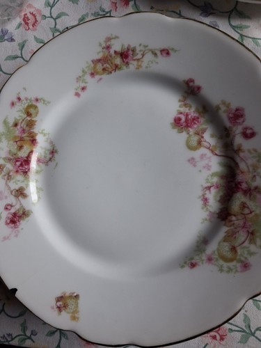 Assiettes porcelaine à - en,