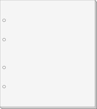 25 intercalaires de carton blanc pour les couvre-pièces standard Prophila