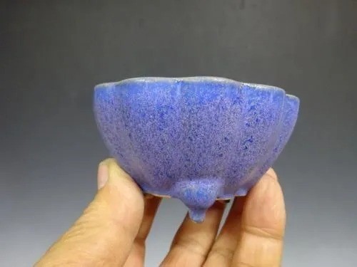 Pot bonsaï japonais - pot, à