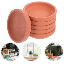 6 Pcs Bac À Eau Plantes