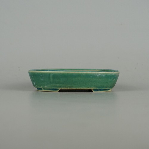 Pot bonsaï japonais seika - bonsaï,