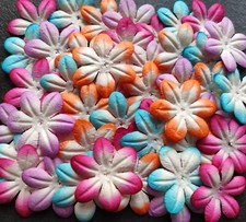 lot de 80 magnifiques fleurs