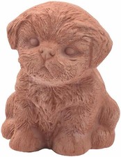 Chiot Caniche Galestro 15 CM