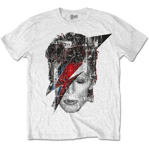 David bowie halftone aladdin - bowie,