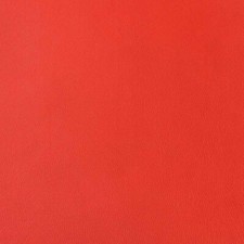 Morceau de cuir d'agneau