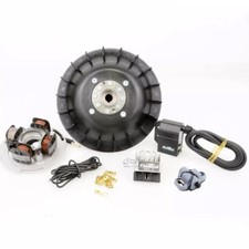 PINASCO Allumage Électronique Volant D'Inertie 1,6 KG Stator ECU Rallye 200