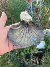 Vide poche en bronze - Forme