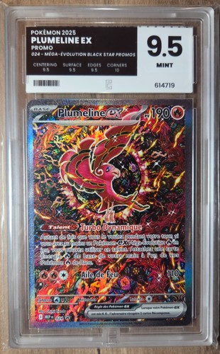 Plumeline mep 024 - ex, fr