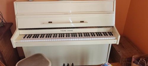 Piano droit young - chang, u-109