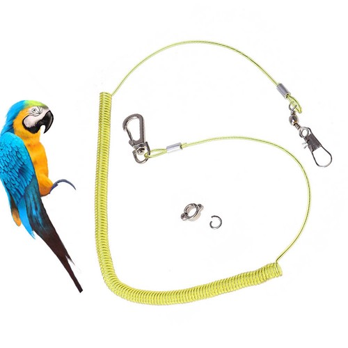 Laisse perroquet harnais - ,