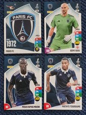 LOT DE 11 CARTES PANINI