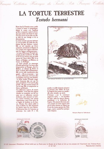 Document officiel la - 31,