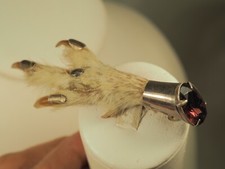 BROCHE TROPHEE DE CHASSE