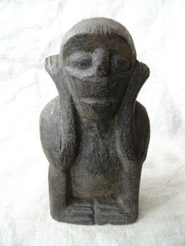 Singe sagesse ebene - singe, en