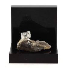 Septaria, Quartz Diamant. 61.5