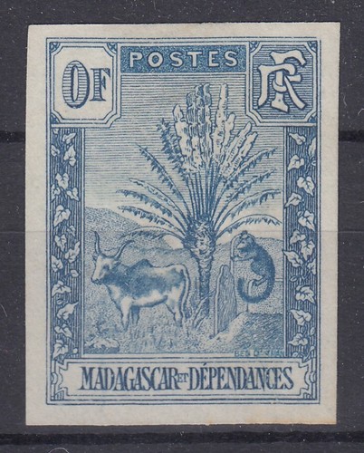 Madagascar zebu ravenala essai - zebu,
