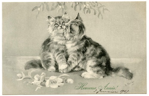Nancy parker les chats - nancy, parker.