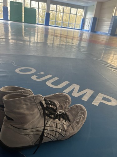 Chaussure lutte - chaussure,