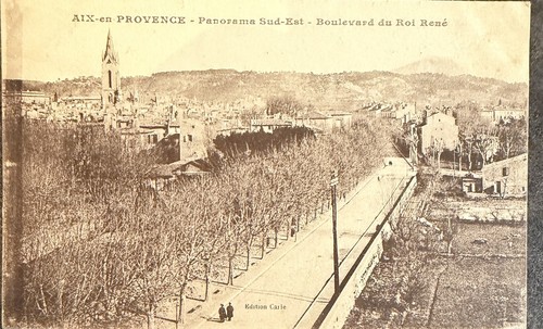 Carte postale postcard - 🦬,