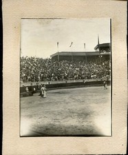 3 photos anciennes . Bayonne . les Arènes . Taureaux . Corrida vers 1900