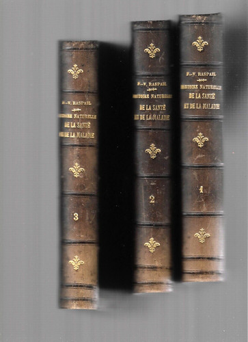 1860 raspail lot - 1860, 3