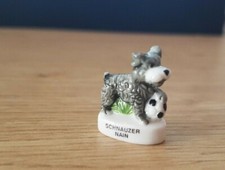 Fève - SCHNAUZER NAIN    (5253)