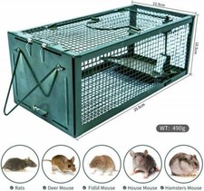 Piège Cage pour Souris Rats