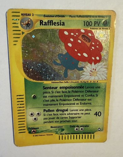 Rafflesia h31 h32 - rafflesia, holo