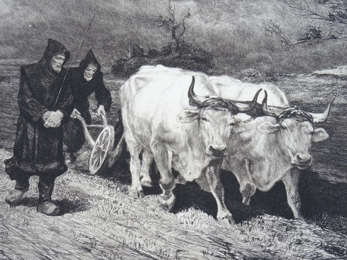 Superbe lithographie - lithographie,