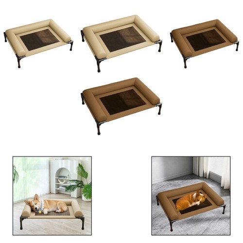 Lit surélevé pour - , chien