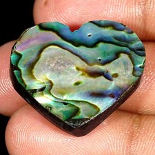 Cabochon De Coquillage