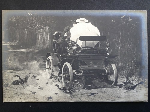 Superbe carte photo année - carte,