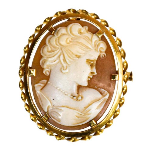 Chic camée broche pendentif