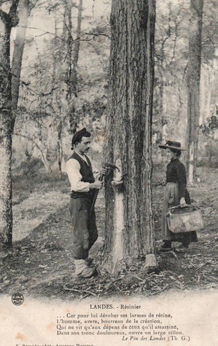 Carte postale landes 40 - carte,