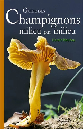 Guide des champignons milieu