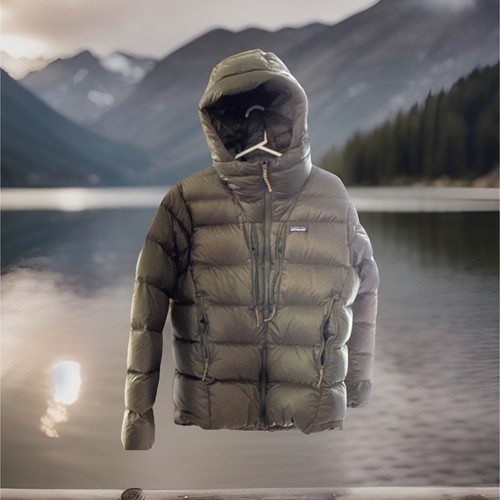 Patagonia men green hooded - patagonia,
