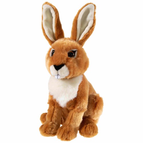 Heunec animaux menacés lapin - animaux,