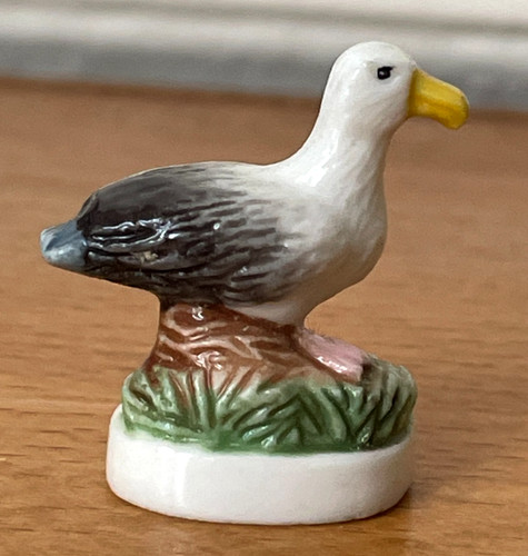 Magnifique fève oiseau - magnifique,