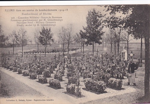 Carte postale postcard - 🦬carte,