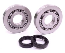 Roulement de Vilebrequin Lot