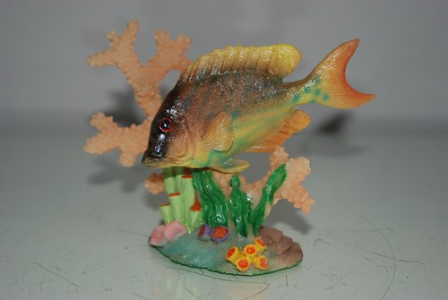 Aquarium détaillé poisson - aquarium, &