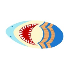 Planche de Skimboard En Bois