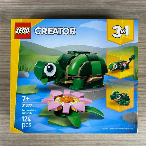 Tortue authentique avec une - tortue,